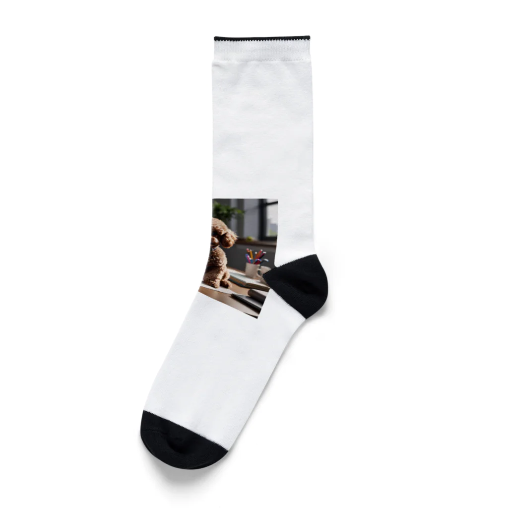 oshare_kurashiのいぬこりワン業（トイプードル） Socks