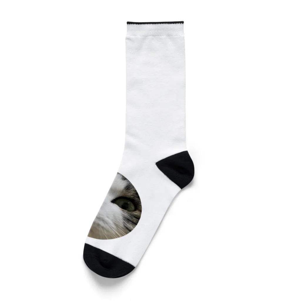 うちのにゃんず🐈のみーみーちゃんのメンチ Socks