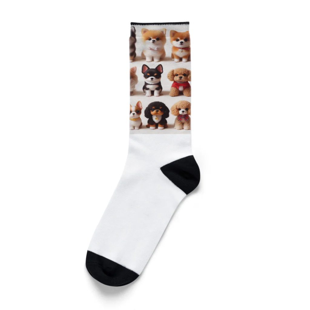 wankoyの16匹のワンちゃん Socks