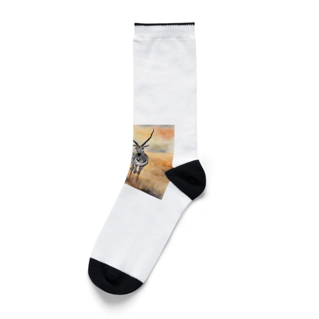 かるるんショップのとある日の風景シリーズ　平和？ Socks