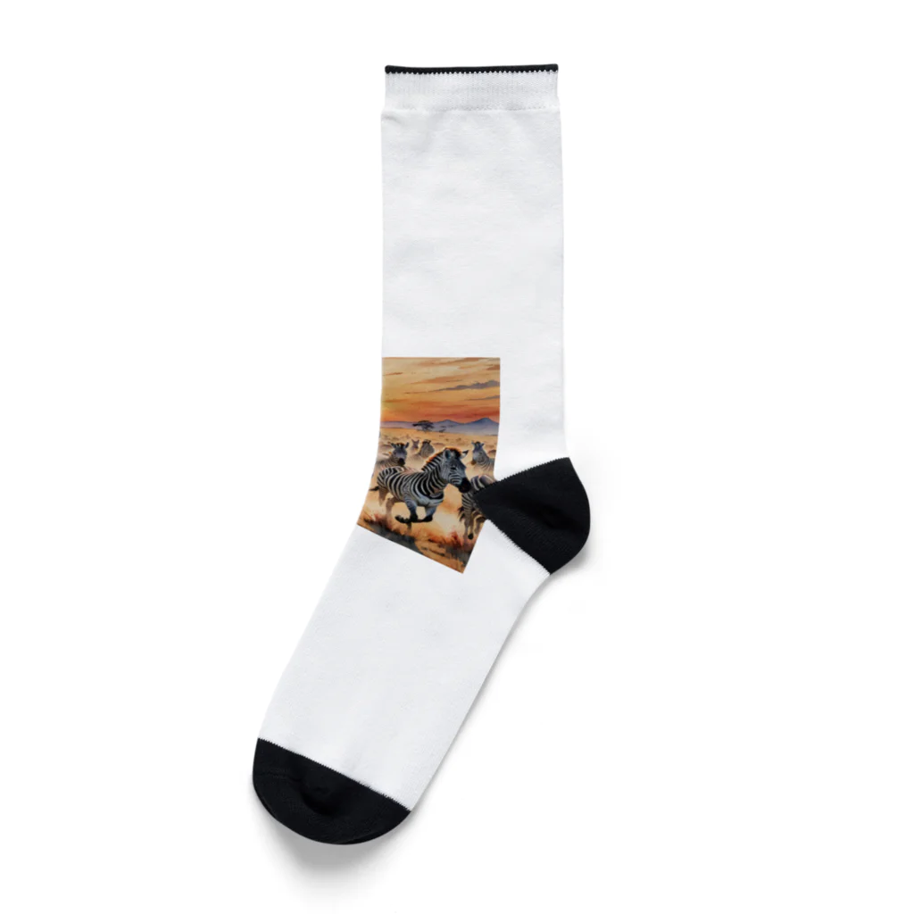 nigihayahiの夕焼けを走るシマウマ Socks