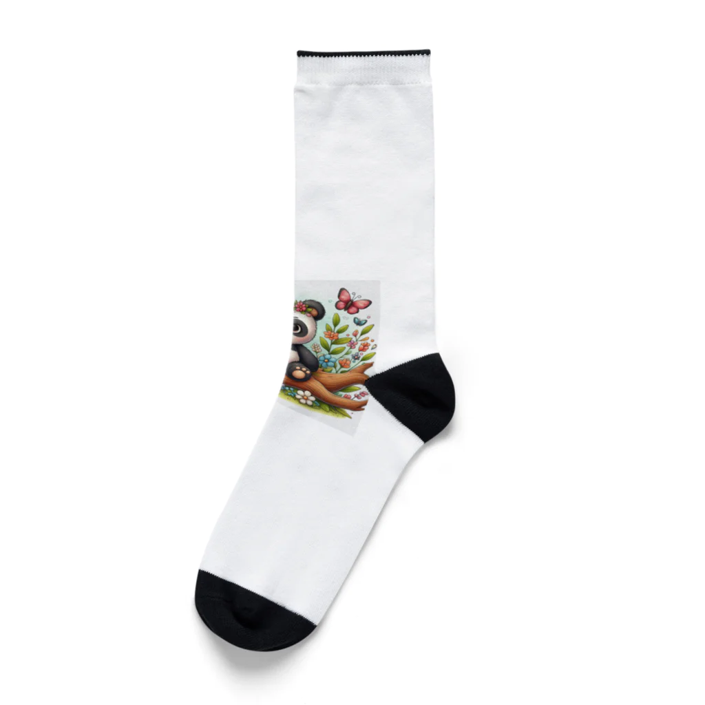 アミュペンのパンダとチョウチョ Socks