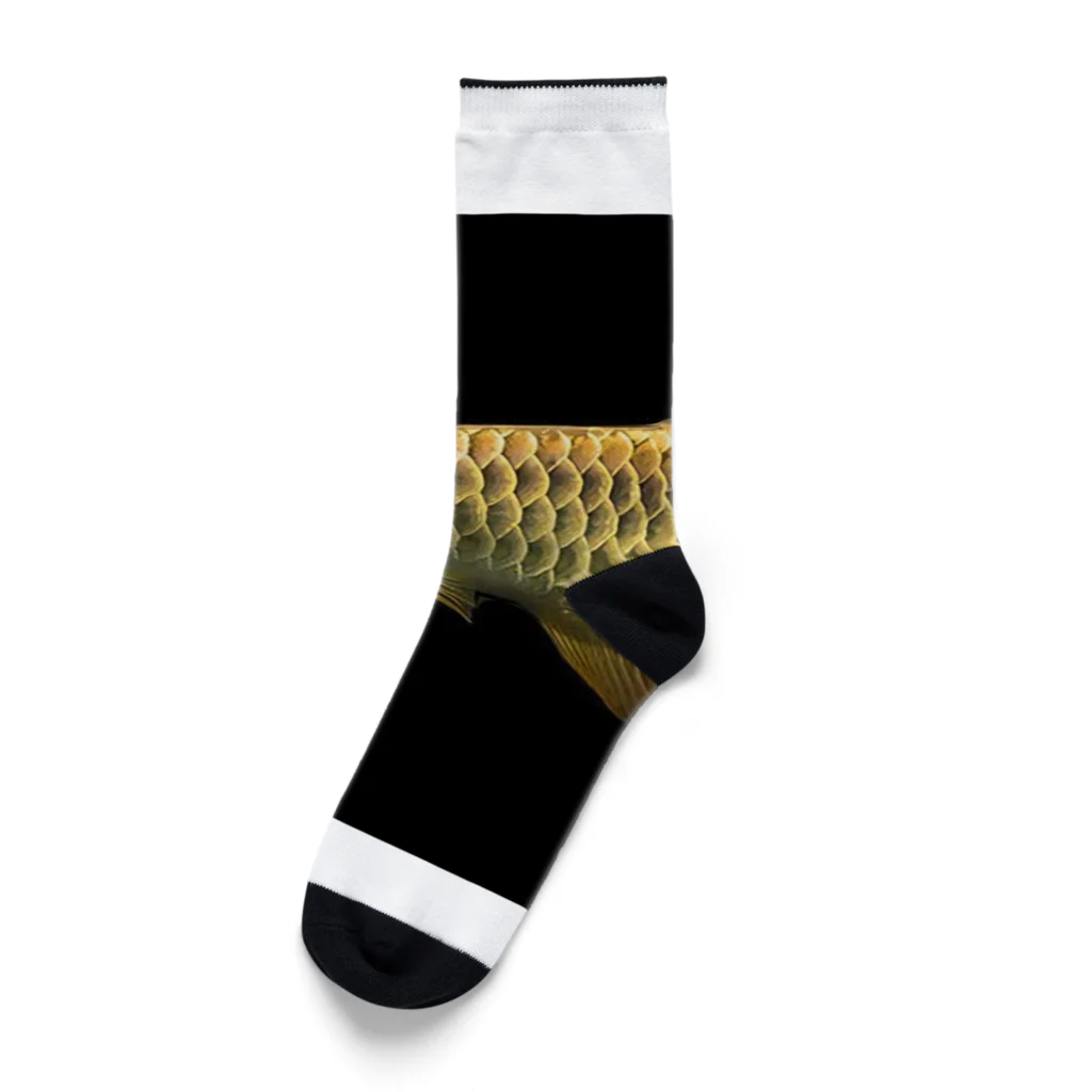 stockboxのアジアアロワナ グッズ Socks