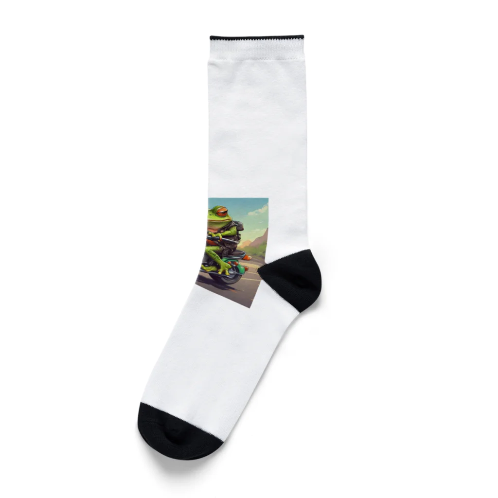 二宮大輔のカエルライダー4兄弟　長男　マッテオ Socks