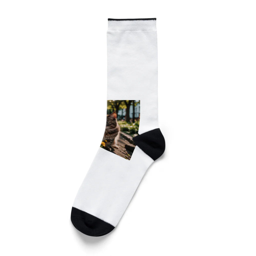 AI Design Labの旅する猫 Socks