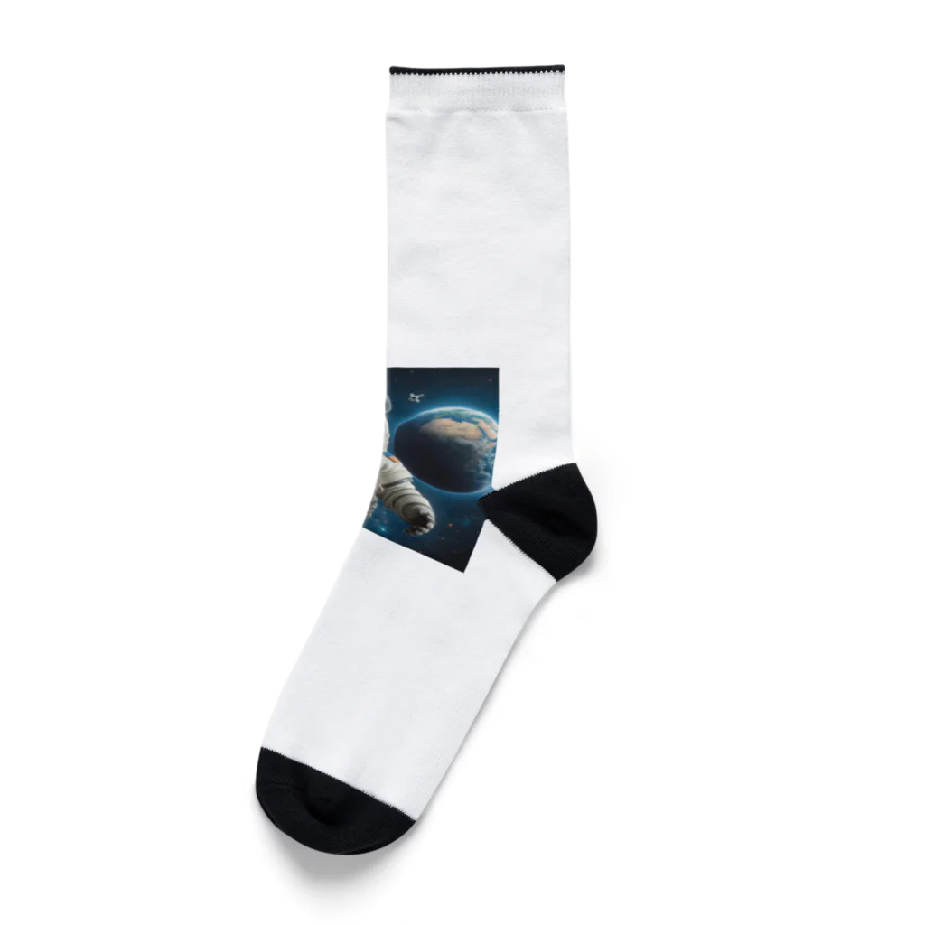 ことまるの宇宙飛行士パンダ Socks