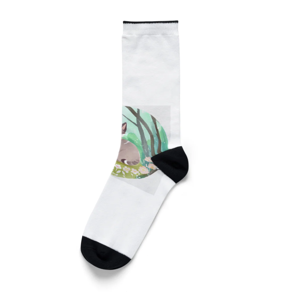 TMRの水彩猫 Socks