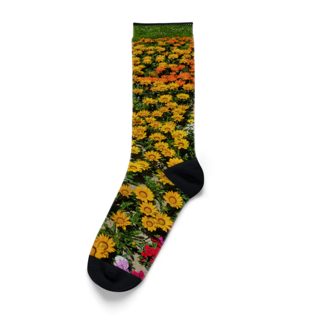 k-aのお花 Socks