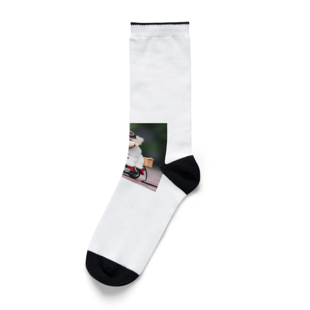 akipon007のワンちゃんと一緒にツーリング！ Socks