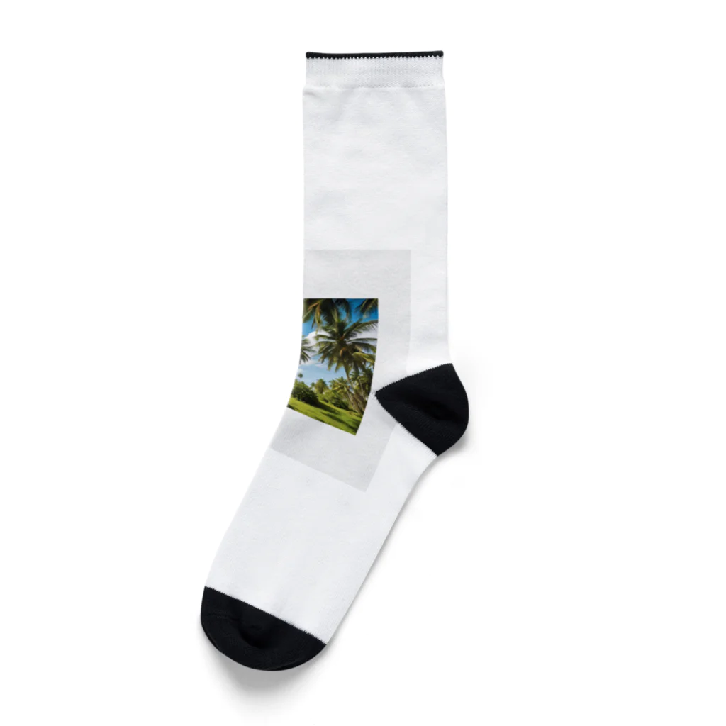 小﨑玲果のココナッツツリーTシャツ Socks