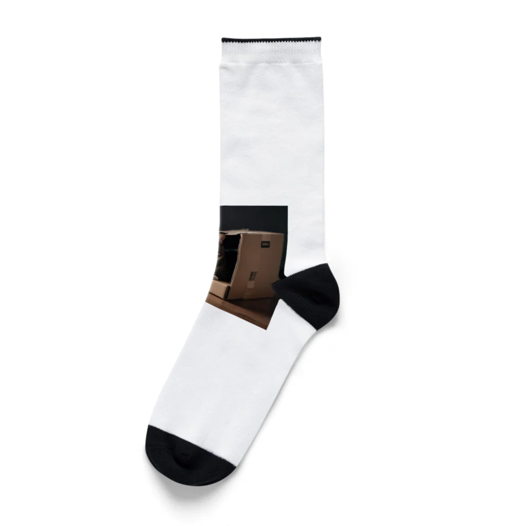 jaguar3のダンボール猫 Socks