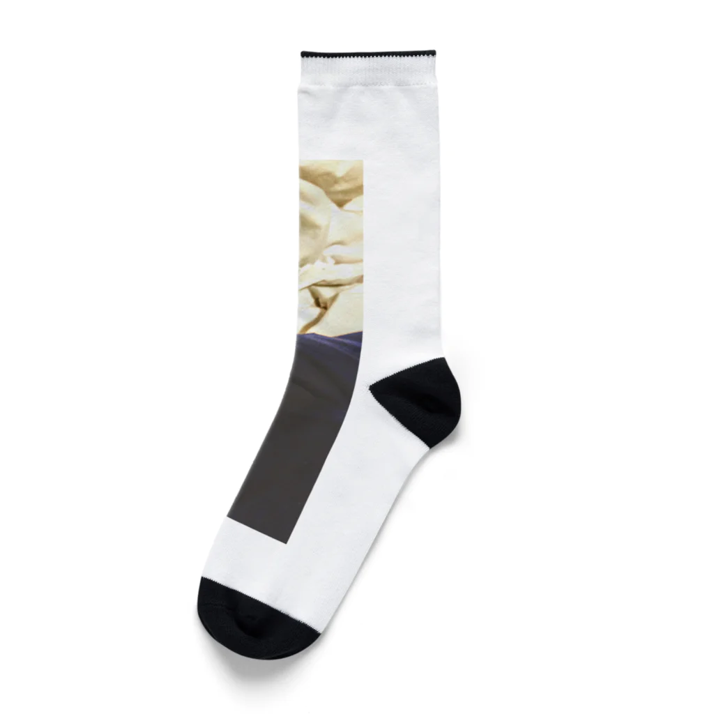 日山　拓志の二色 Socks