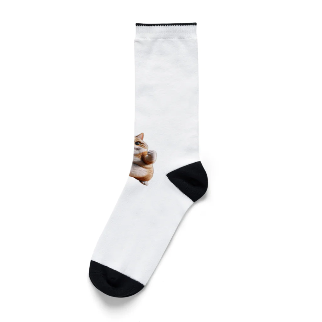 cat__ch2のやる気猫 Socks