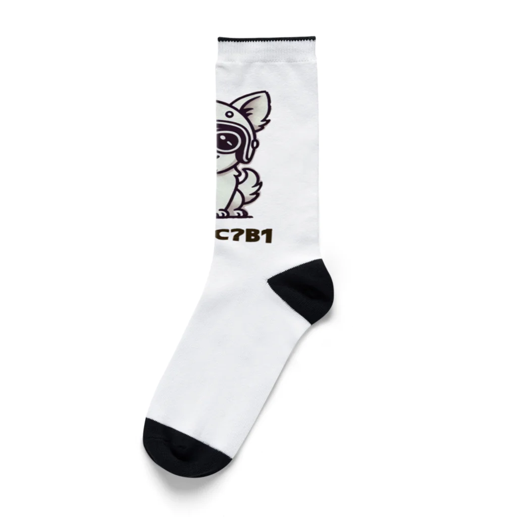 D7C7DC?B1のD7C7DC?B1 10 Socks