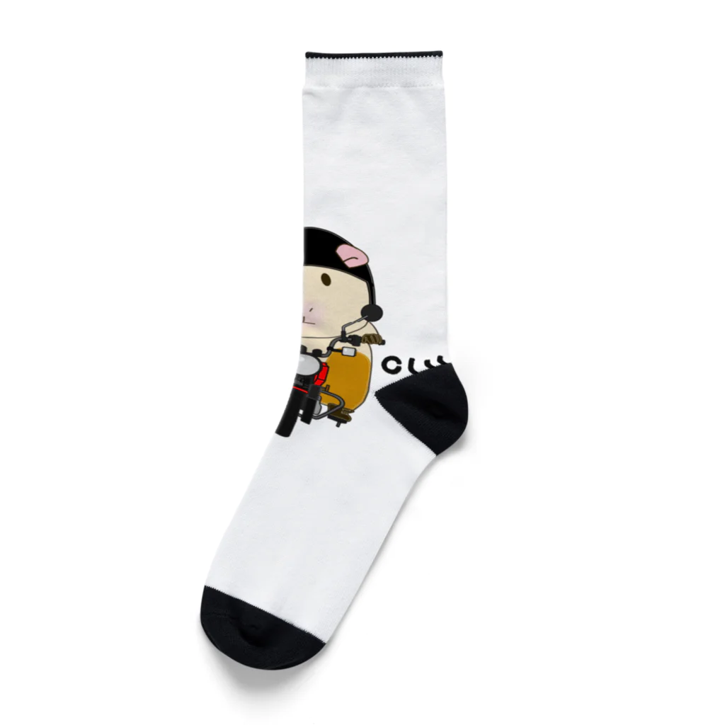 モルさんのモルカブ Socks