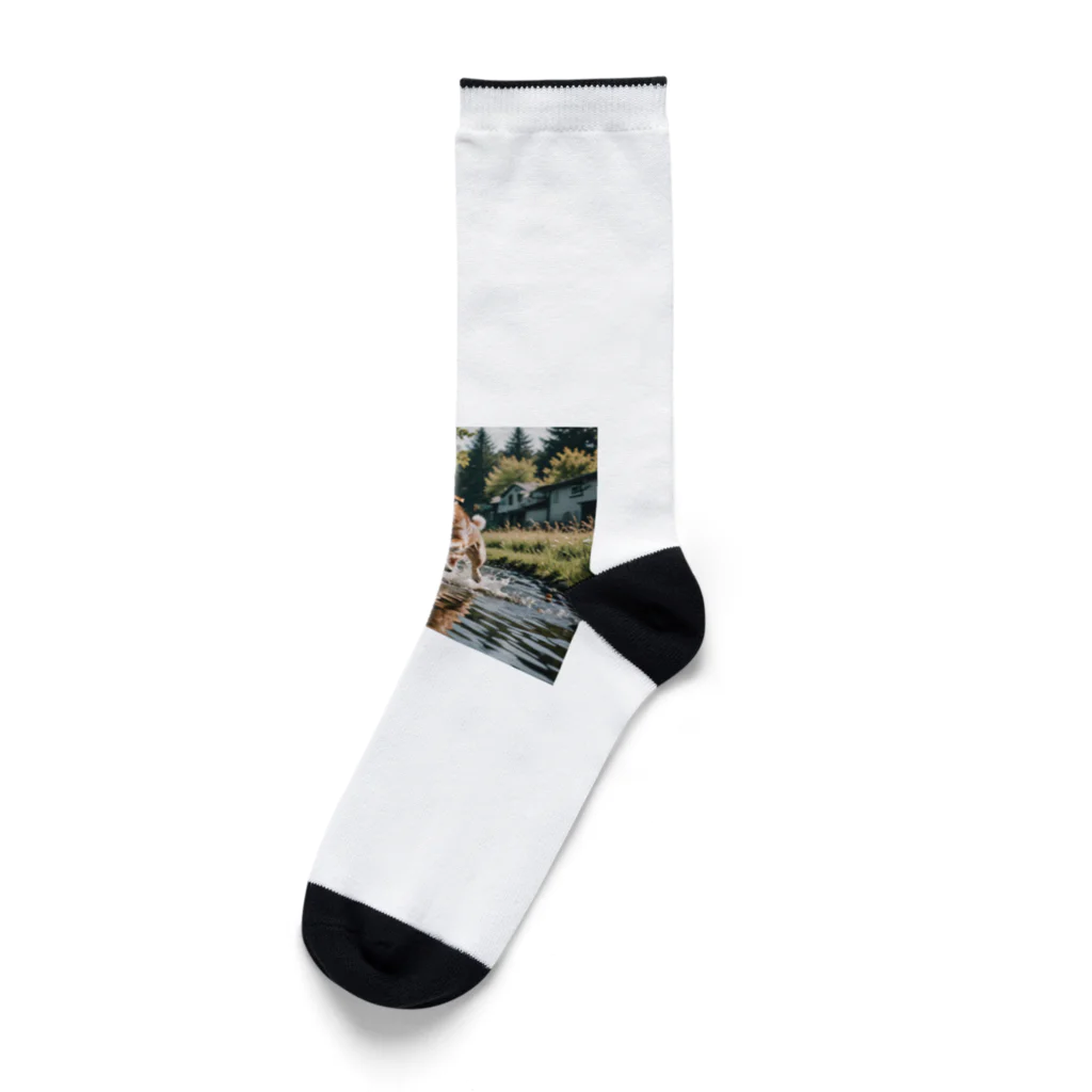 kokin0の水辺を走る犬 dog runnning on the water Socks