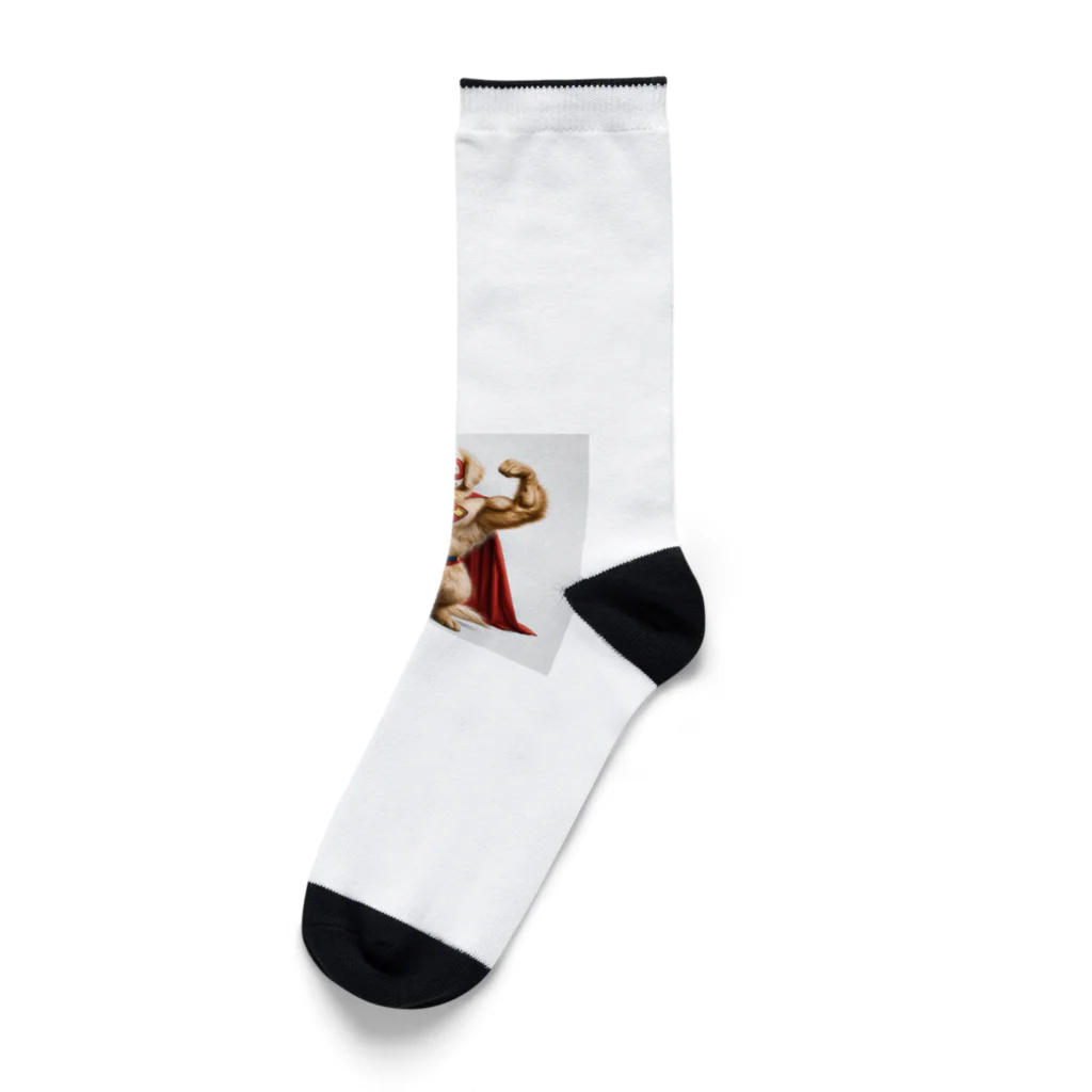 ROROAの無敵のヒーロー犬 Socks