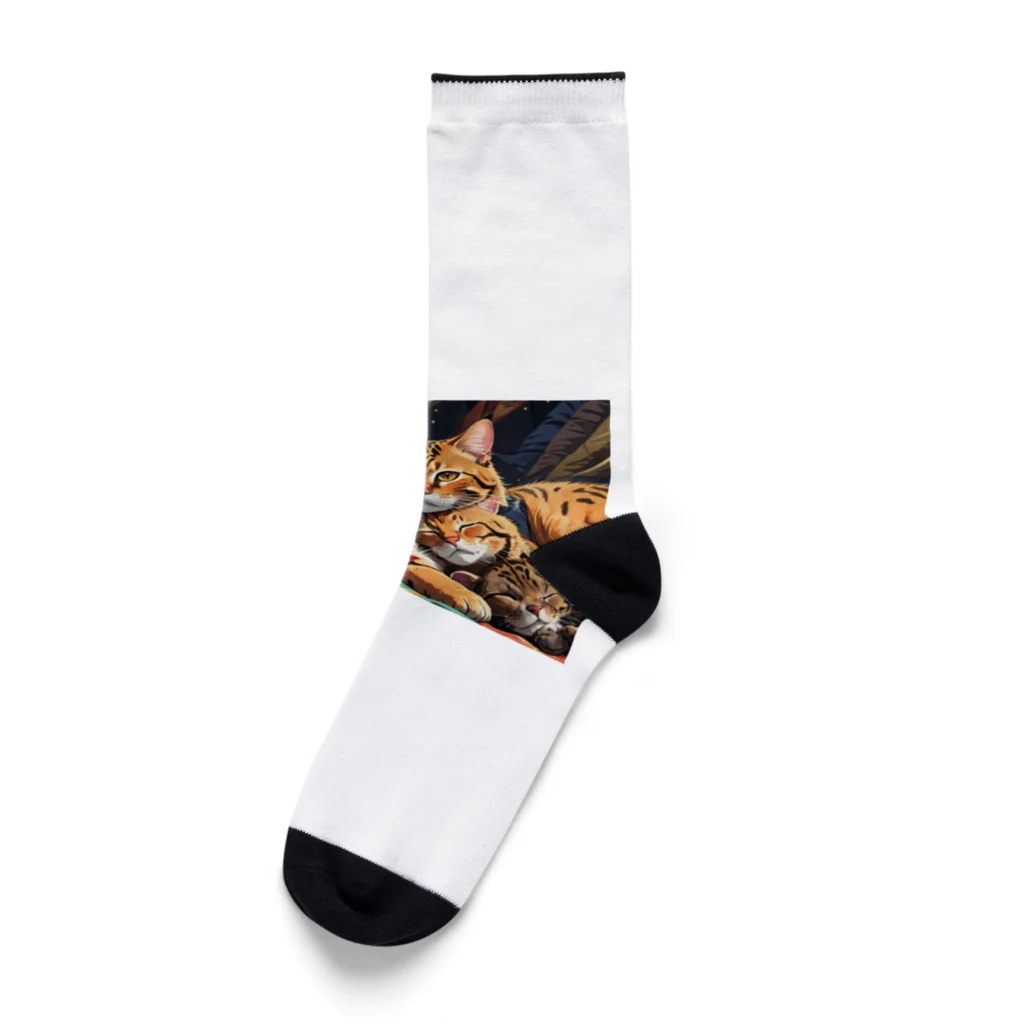 ねむねこのお店のおやすみねこ Socks