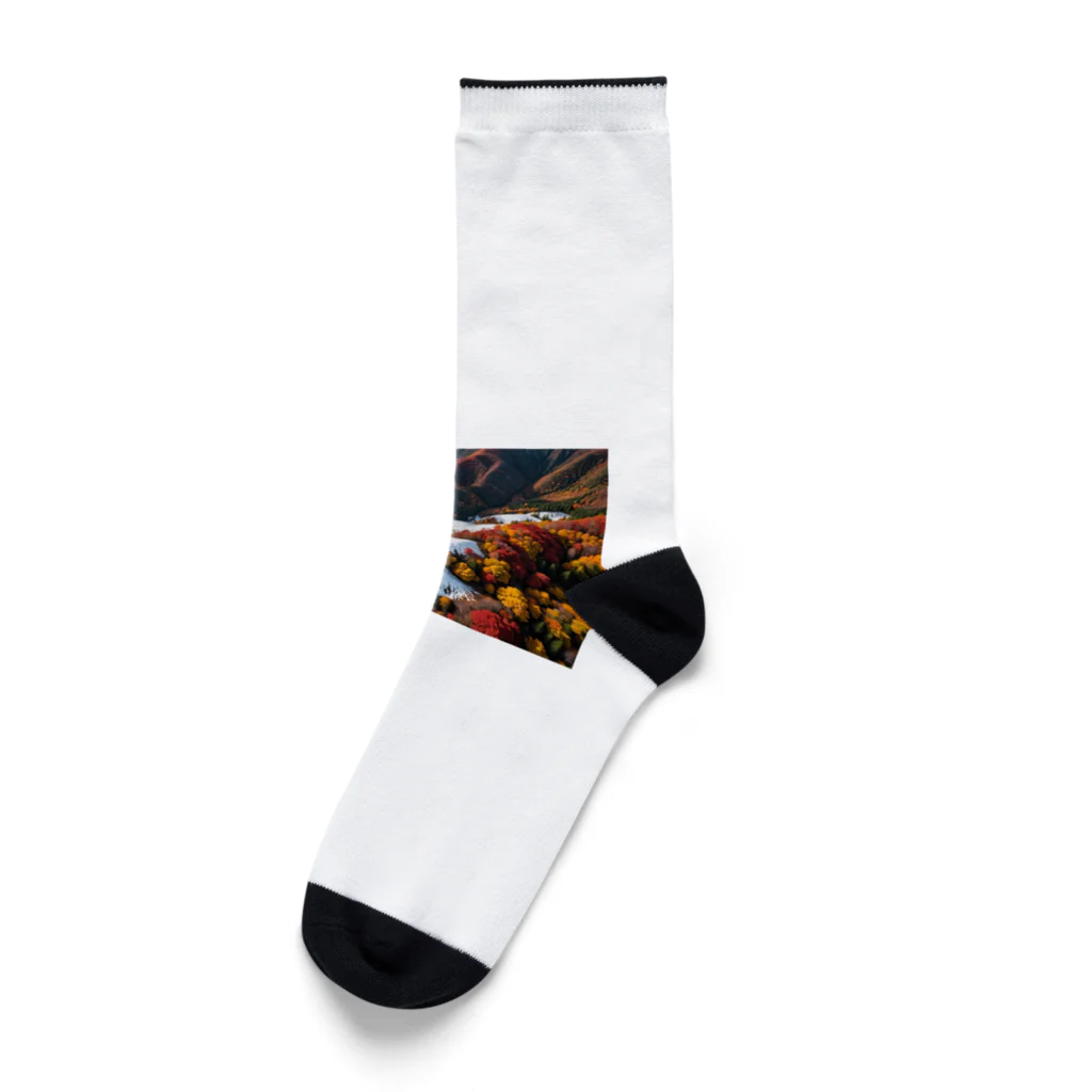 studio eizoの京都の紅葉 Socks