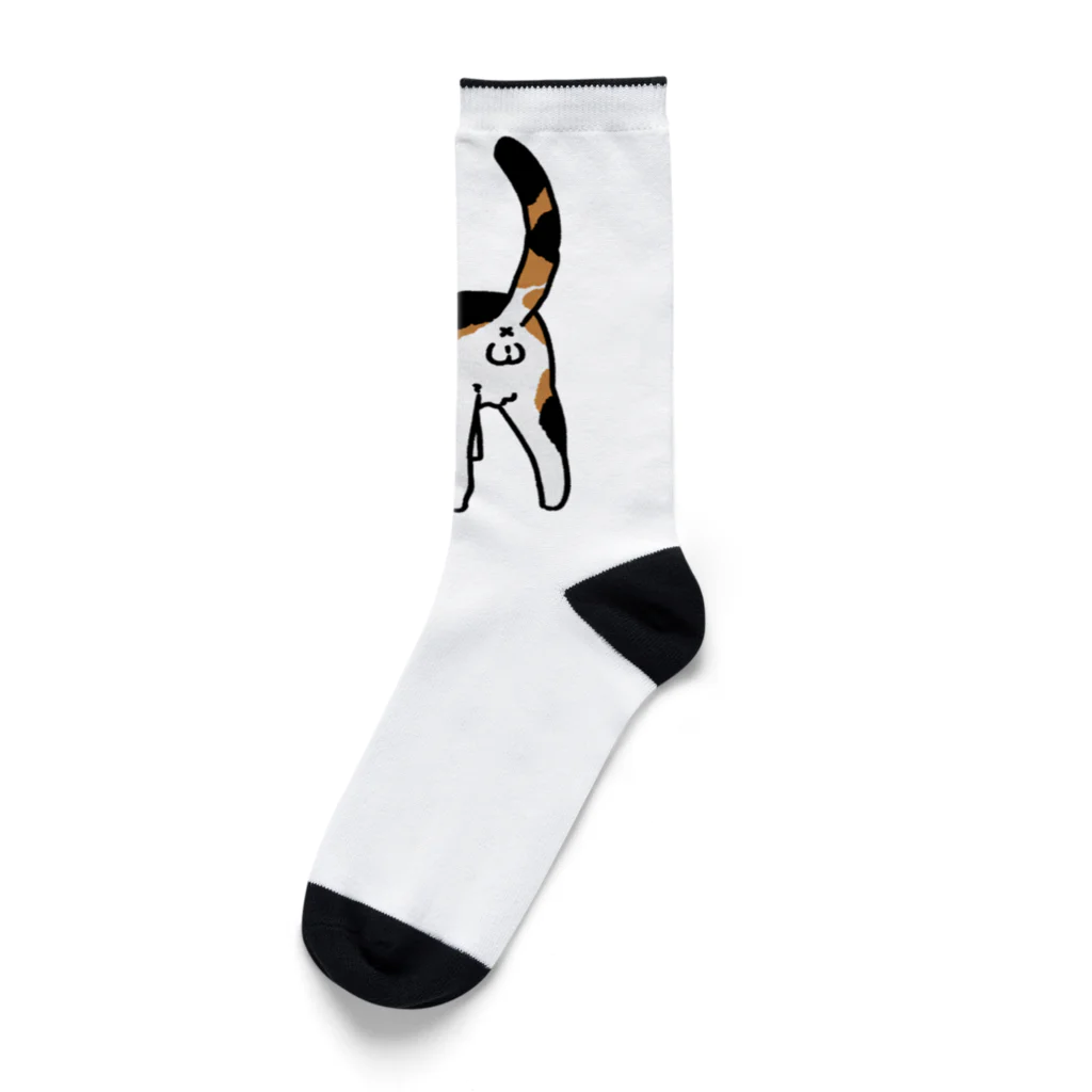 Riotoのねこけつω（三毛猫） Socks