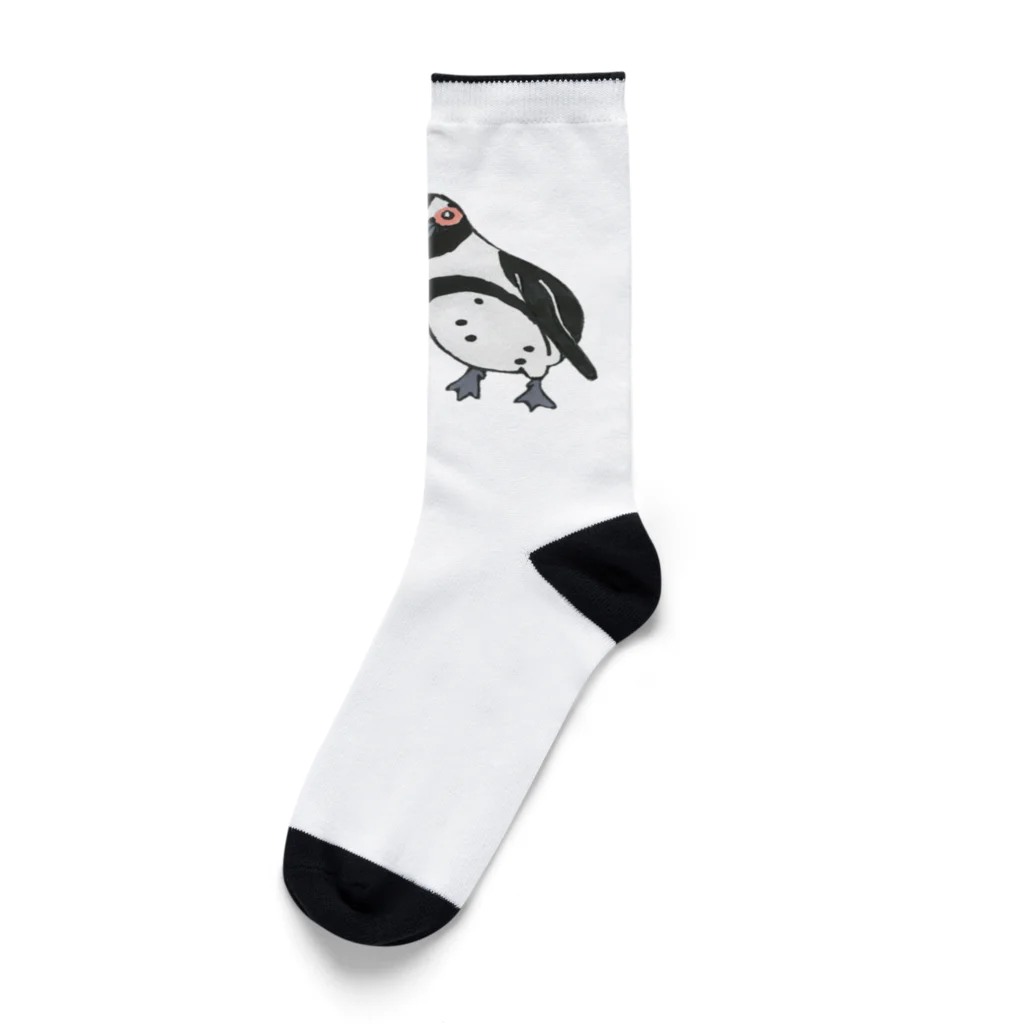 penguininkoの仲良しのケープペンギンさんたち🐧🐧① Socks