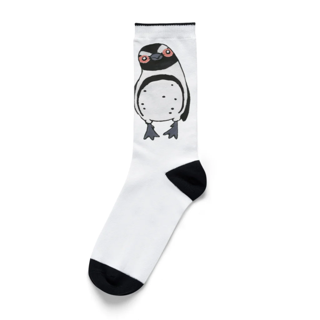 penguininkoの手繋ぎケープペンギンのカップル🐧❤️🐧 Socks