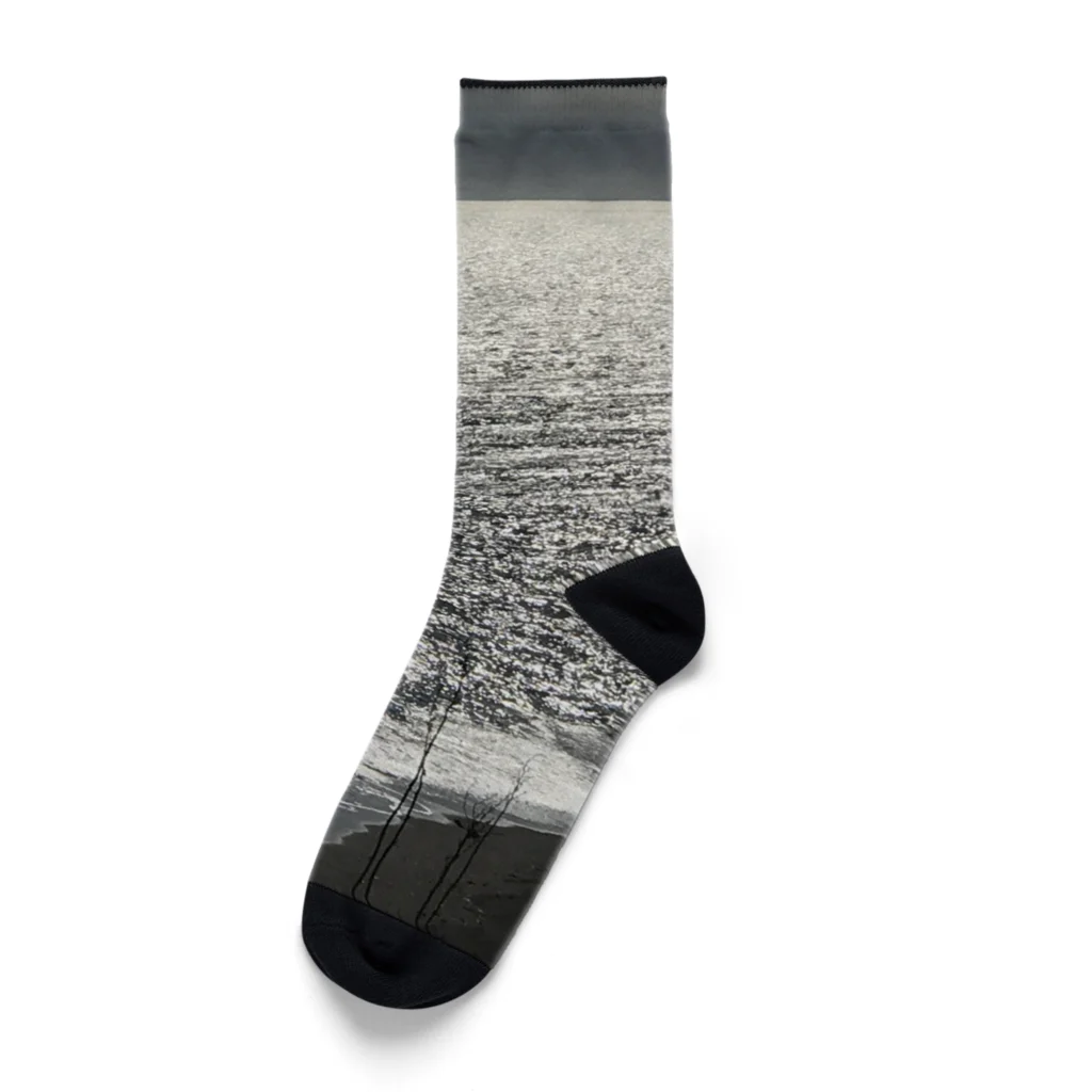 空屋　sorayakusakaの202004241513000　銀の海岸線 Socks