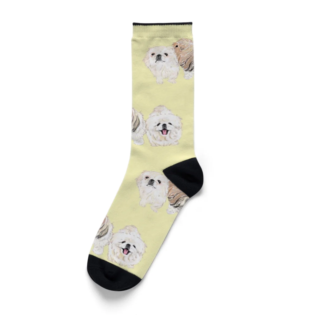 hanapecha_wannyanの可愛い兄弟 Socks