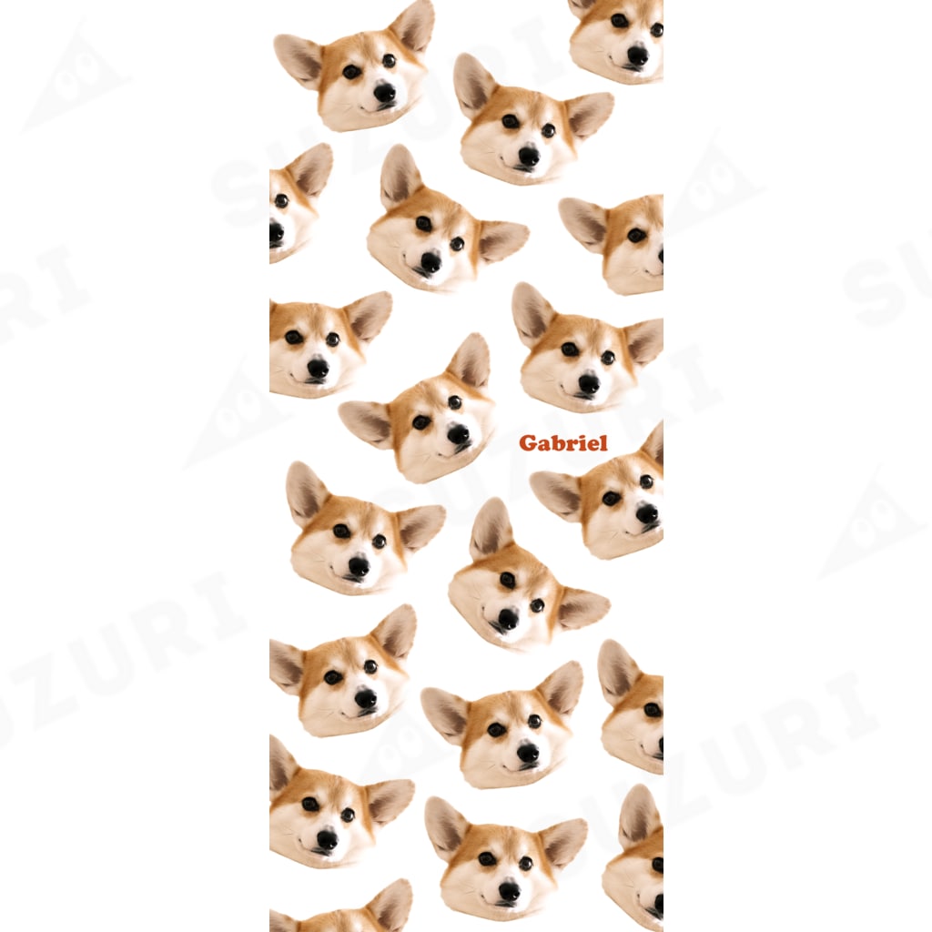 ガブちゃんのまがお Socks