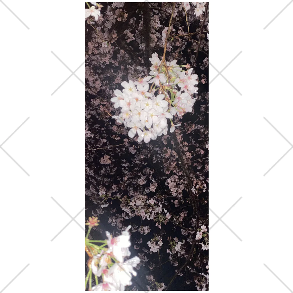 萌中毒の桜 ソックス