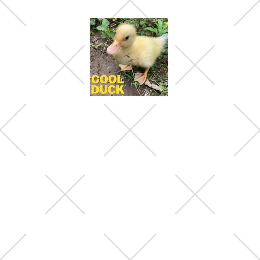 hapi hapiのCOOL&CUTE! DUCK ソックス