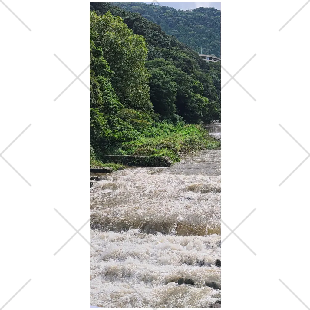 TACOIKAのHakone　RainyDay Socks