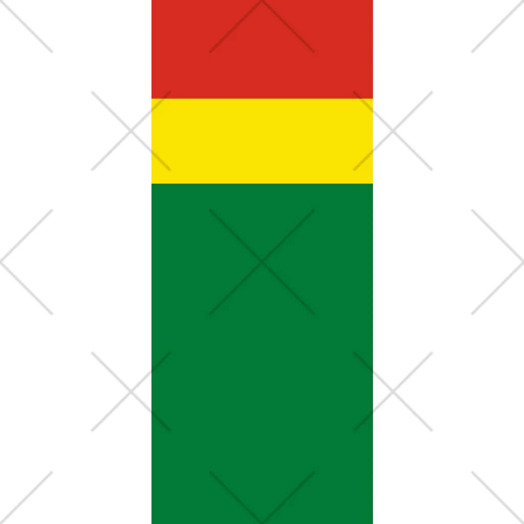 お絵かき屋さんのボリビアの国旗 ソックス