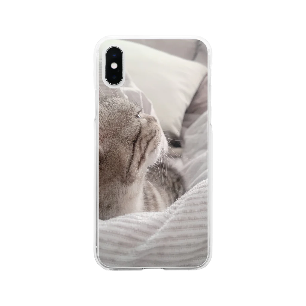 rikkyo_lgbtnizaのねこ Soft Clear Smartphone Case