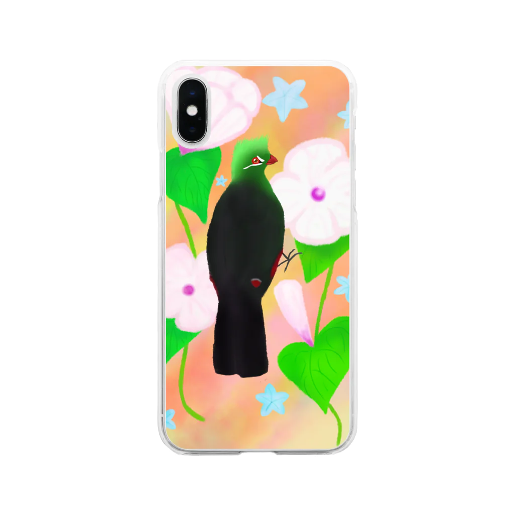 Lily bird（リリーバード）の見返り美鳥（ギニアエボシドリ）カラフル背景① Soft Clear Smartphone Case