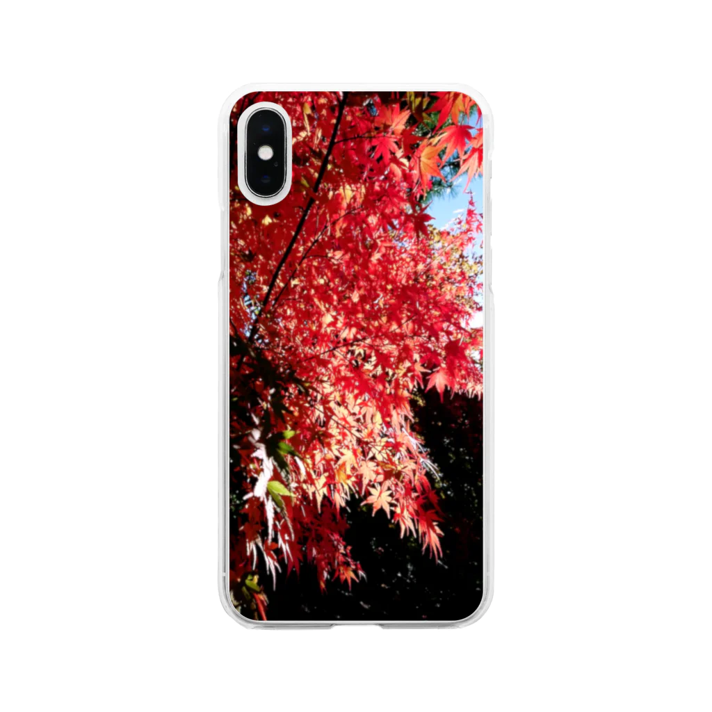 A＆OShopの咲き誇る紅葉 Soft Clear Smartphone Case