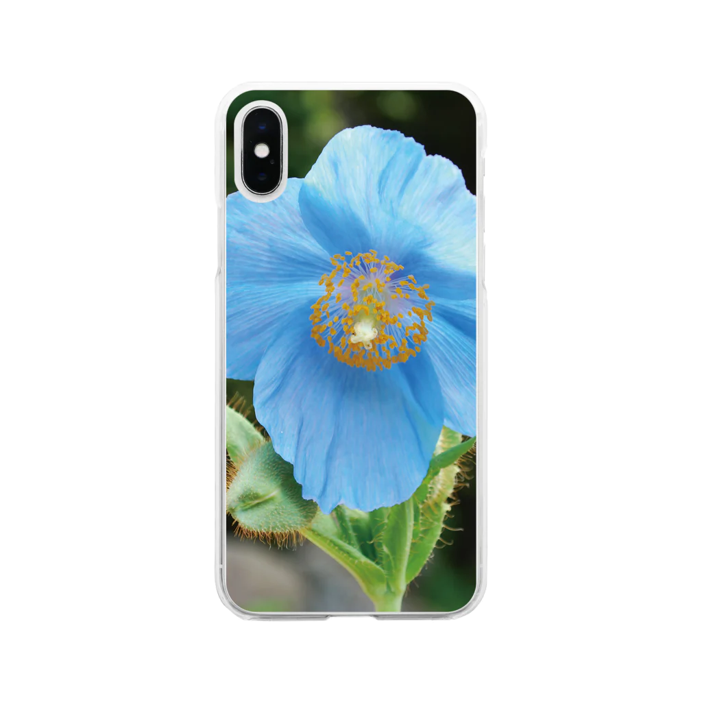 植物に会いにいくショップの青いケシ スマホケース【限定10個】 Soft Clear Smartphone Case