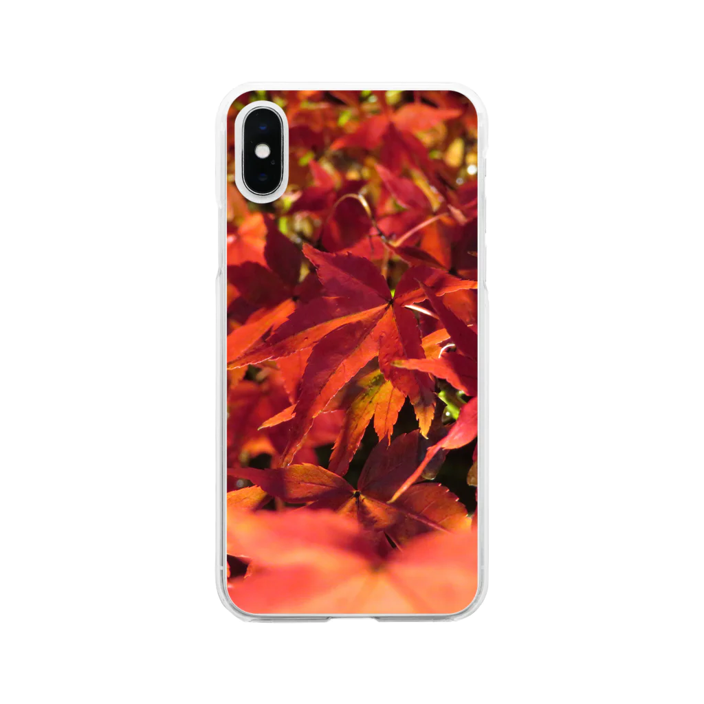 ポチとお兄ちゃんの紅葉 Soft Clear Smartphone Case