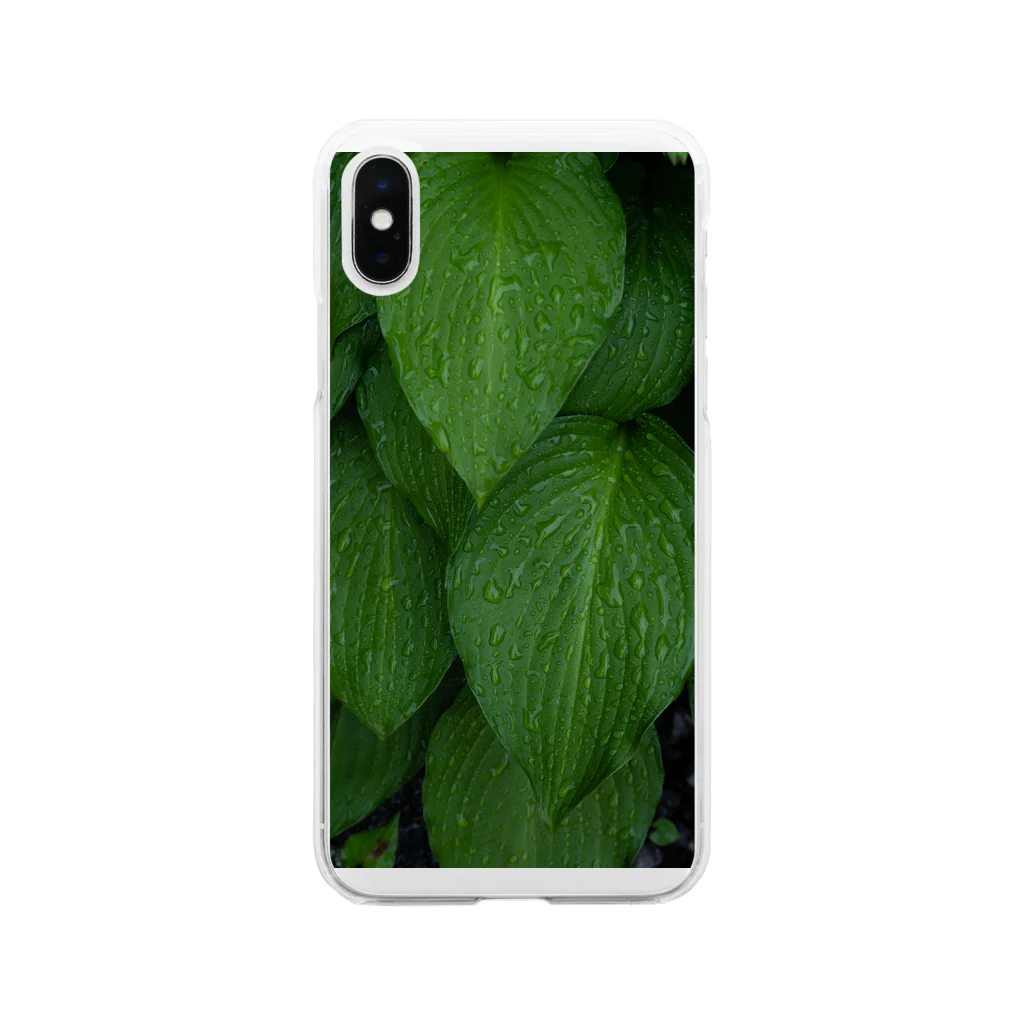 写真プリントの雨上がりの緑 Soft Clear Smartphone Case