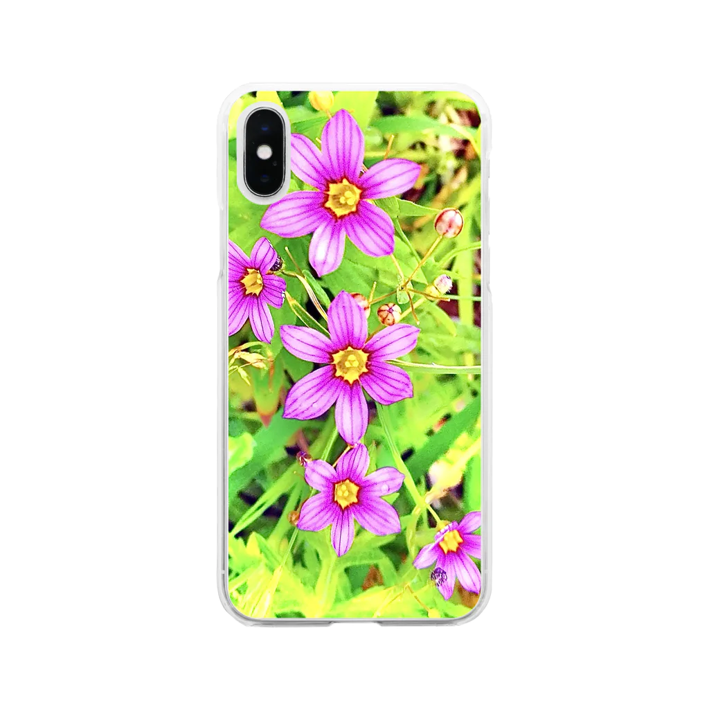 LalaHangeulの道端の花　ニワゼキショウ(カラフル) Soft Clear Smartphone Case