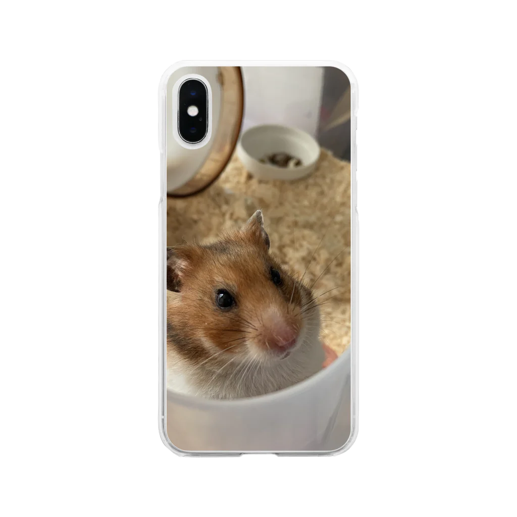 よろしおす〜の愛するおこげ Soft Clear Smartphone Case