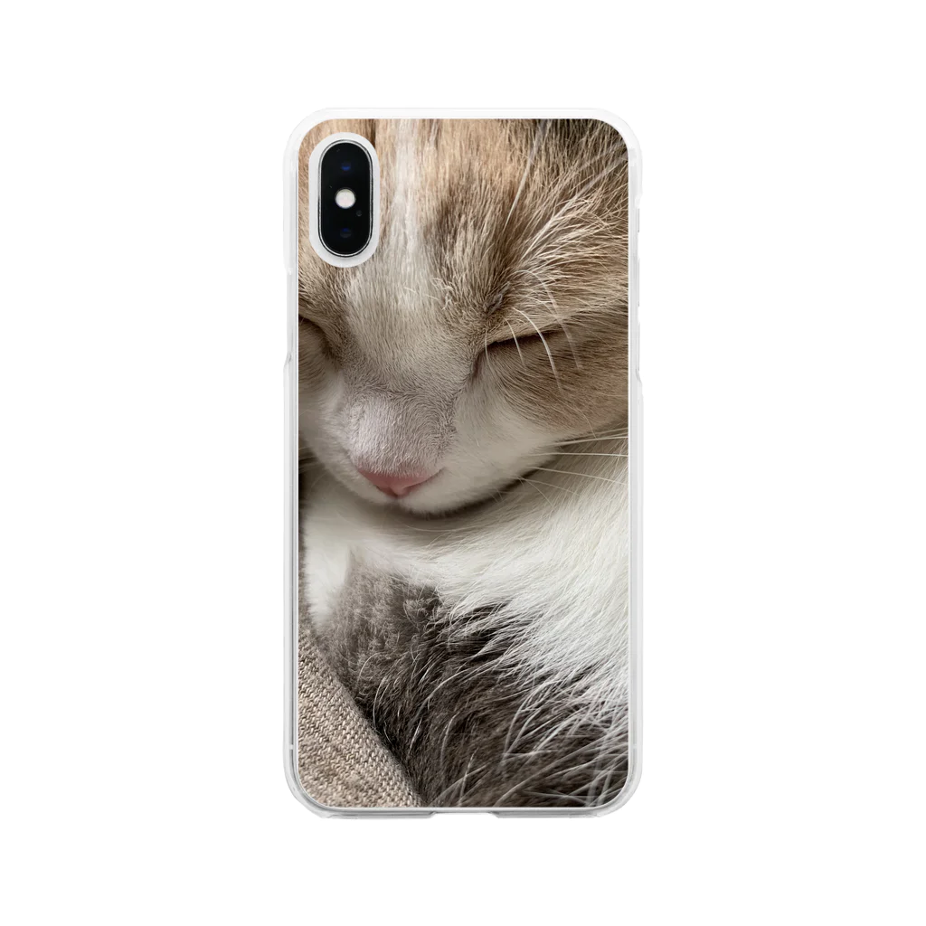 cocorobinのココ猫 Soft Clear Smartphone Case