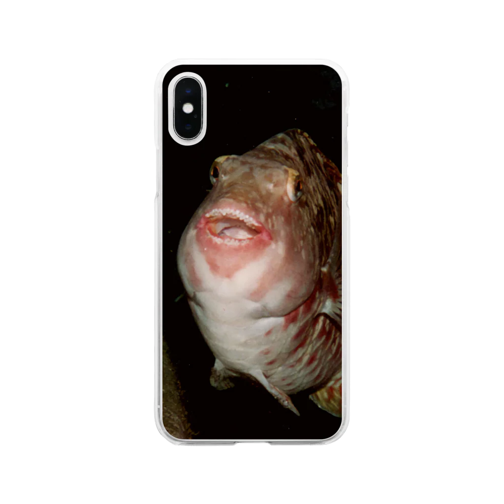 龍舞堂の魚　正面 Soft Clear Smartphone Case