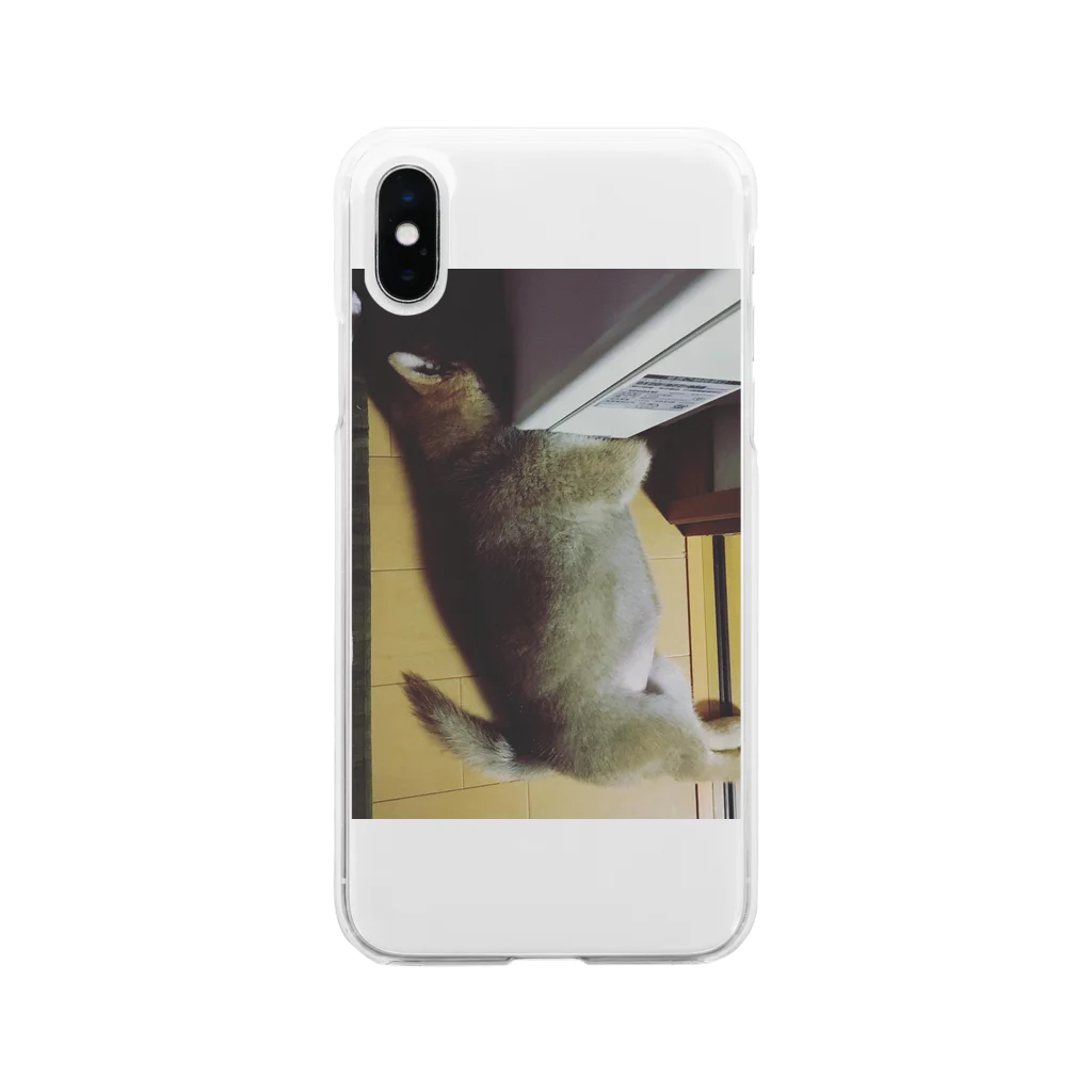 こはるちゃん(柴犬の女の子、2020年6月生まれ)のこはるちゃんです。 Soft Clear Smartphone Case