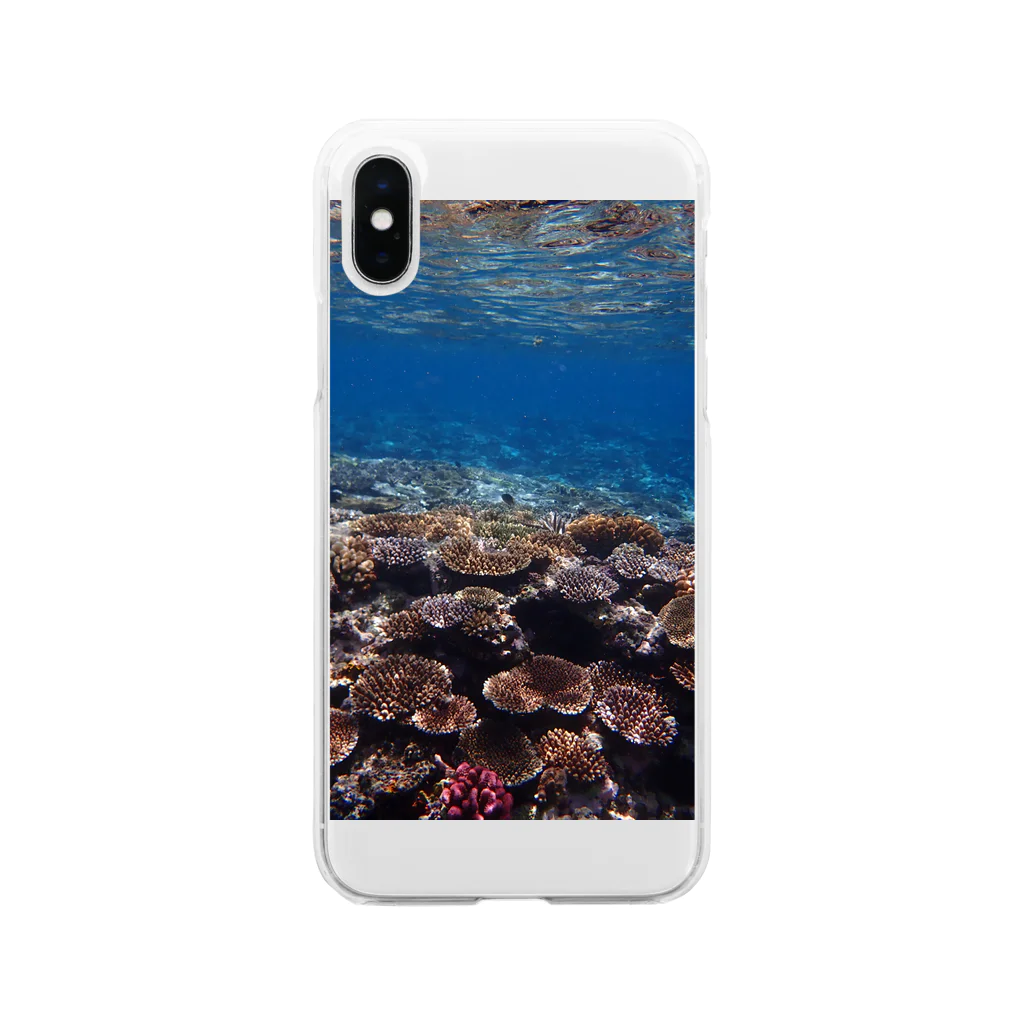 A_Uのネイチャーパステル２  西表島 Soft Clear Smartphone Case