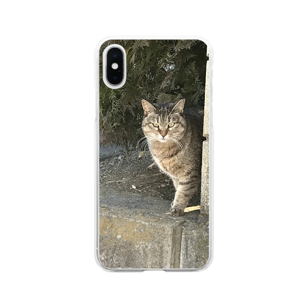 シンたまのジト目猫ちゃん Soft Clear Smartphone Case