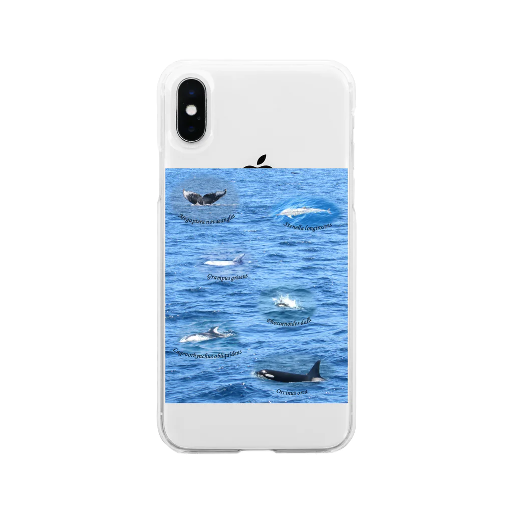 L_arctoaの船上から見た鯨類(1) Soft Clear Smartphone Case