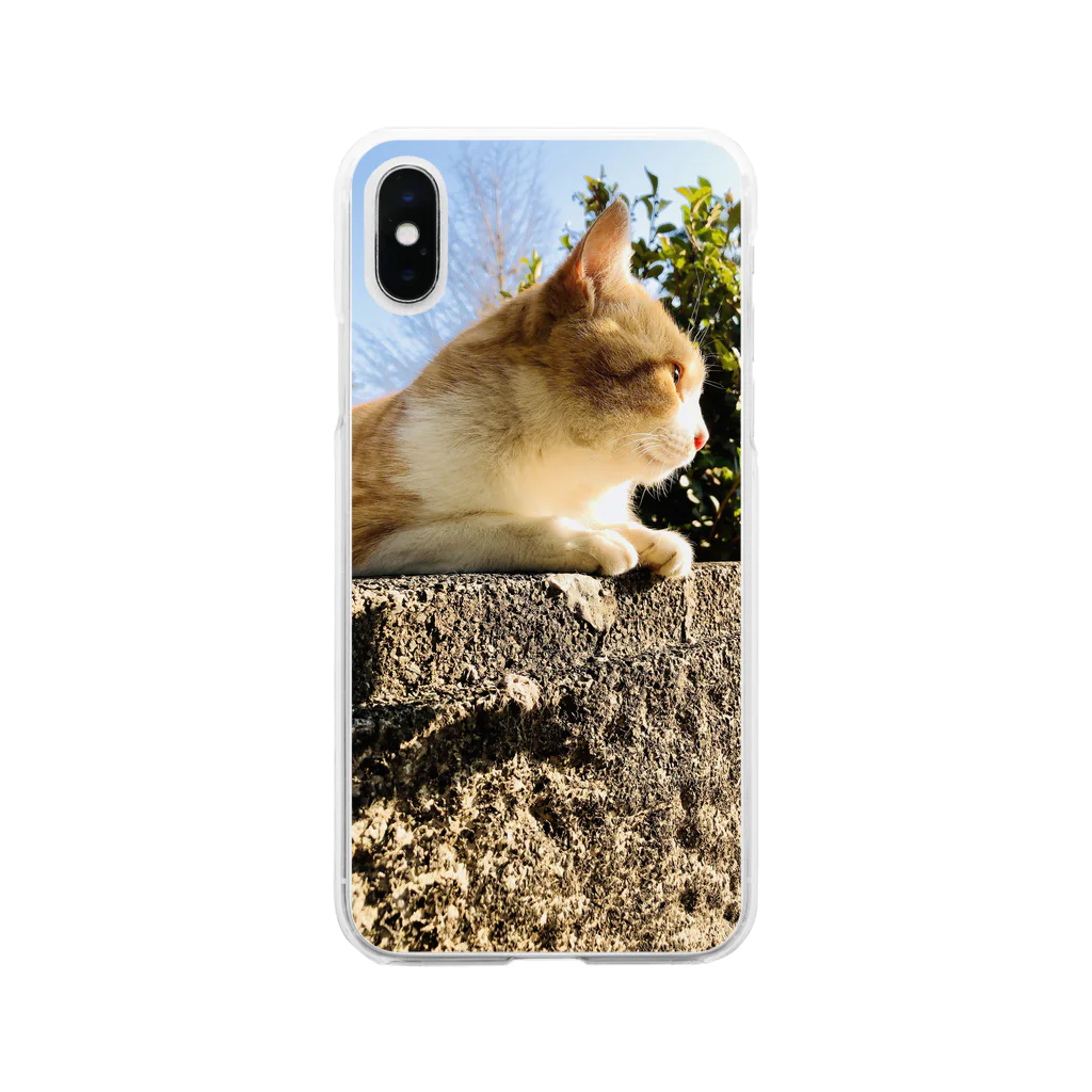 きんじょののらねこのねこ。ネコ。猫。のらねこさん。 Soft Clear Smartphone Case