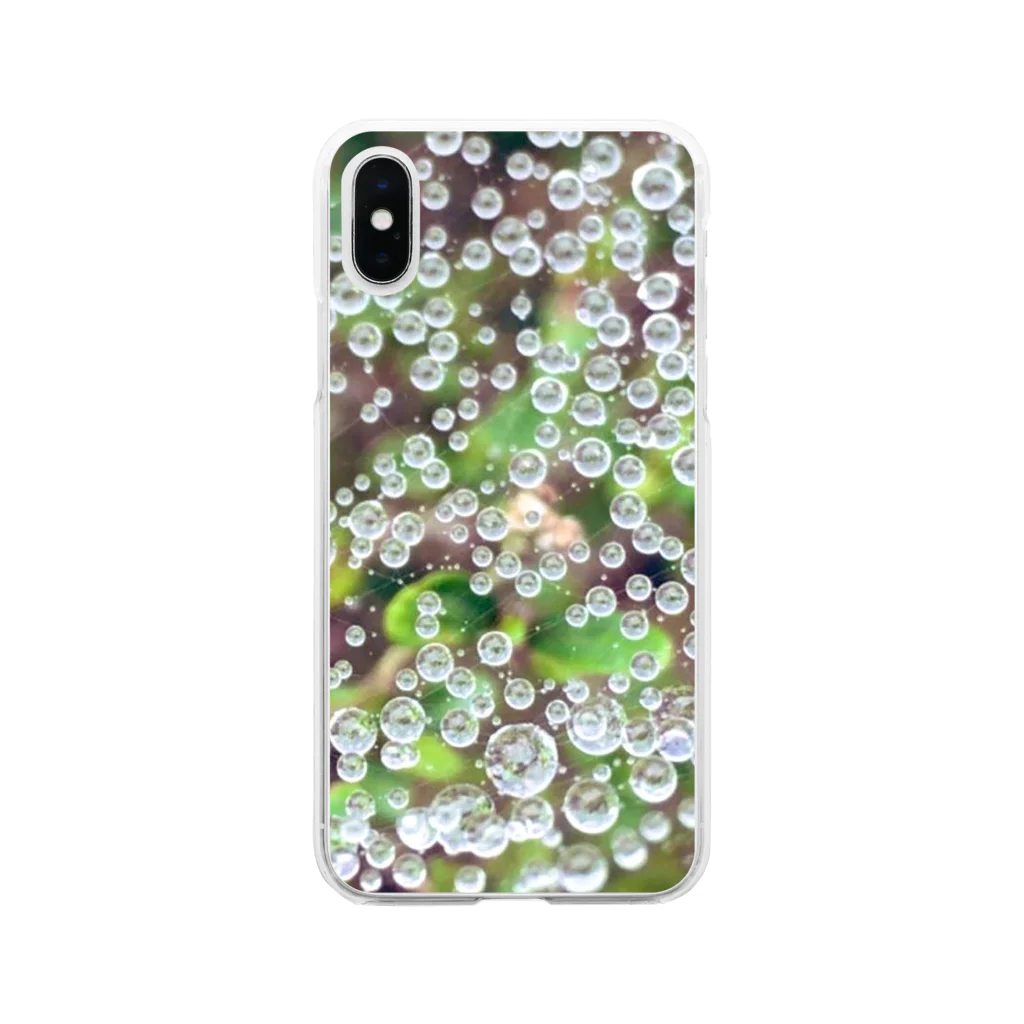 GreenTrexの蜘蛛の巣についた水滴デザイン Soft Clear Smartphone Case