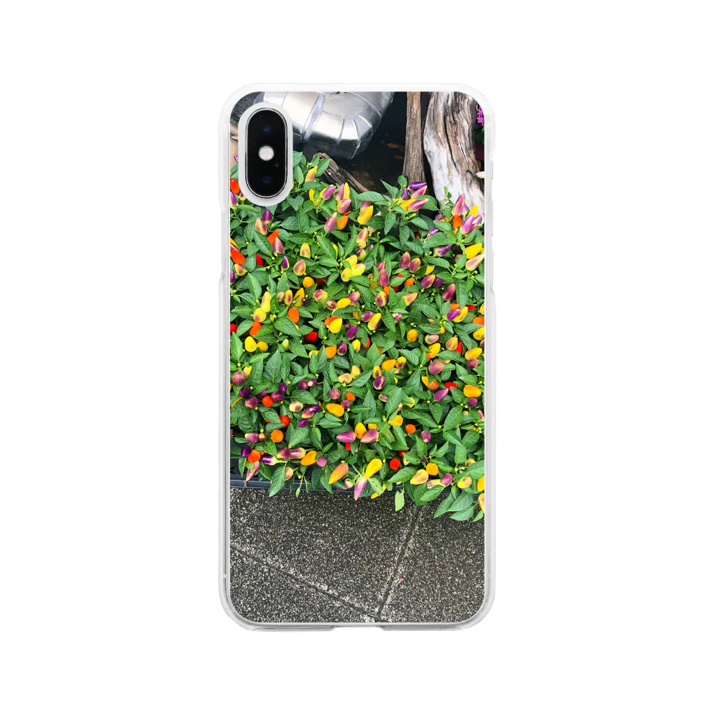 コビトカバの初夏の花壇 Soft Clear Smartphone Case